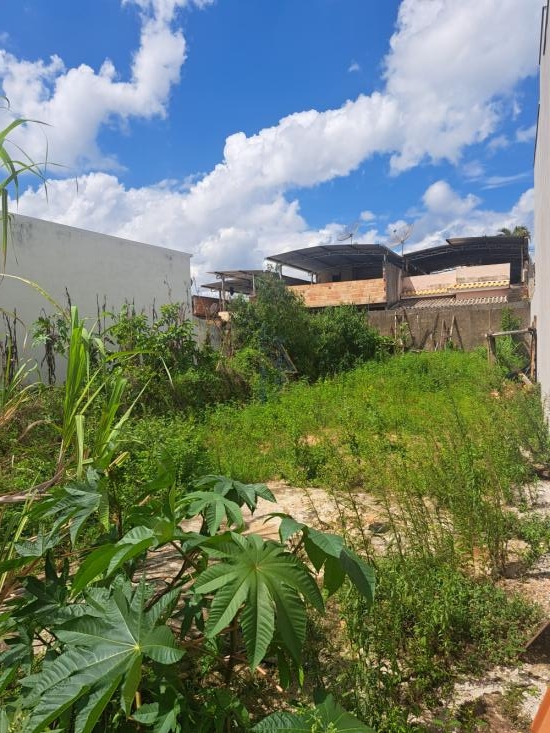 lote-venda-lote-jardim-primavera-960253