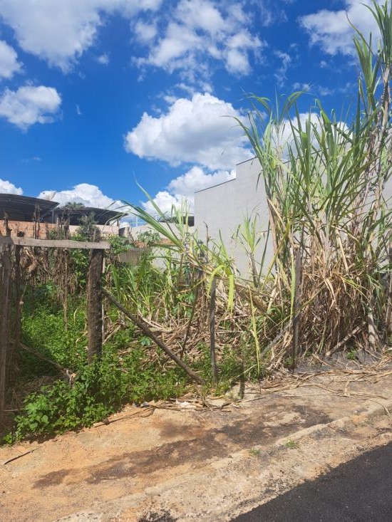 lote-venda-lote-jardim-primavera-960258