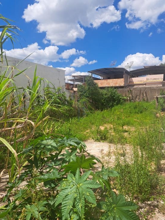lote-venda-lote-jardim-primavera-960255