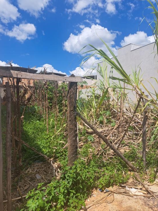 lote-venda-lote-jardim-primavera-960254