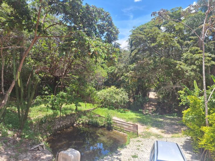 sitio-venda-sitio-em-ravena-961080