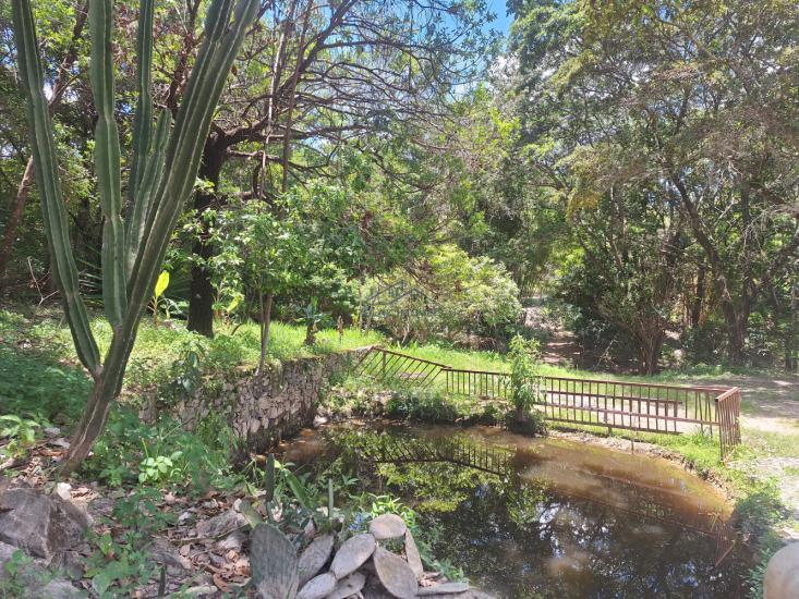 sitio-venda-sitio-em-ravena-961081