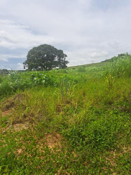 area-venda-bairro-jardim-california-964280