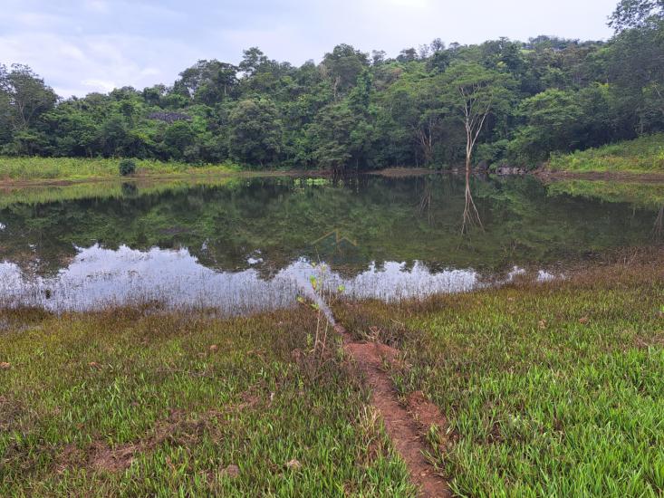fazenda-venda-vila-costina-pains-mg-30-ha-943704