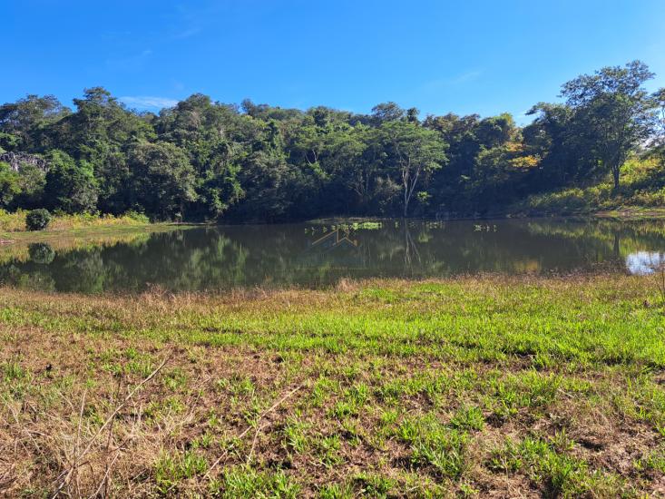 fazenda-venda-vila-costina-pains-mg-30-ha-943705