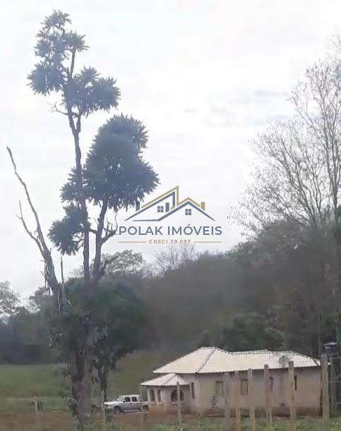 fazenda-venda-vila-costina-pains-mg-30-ha-943688