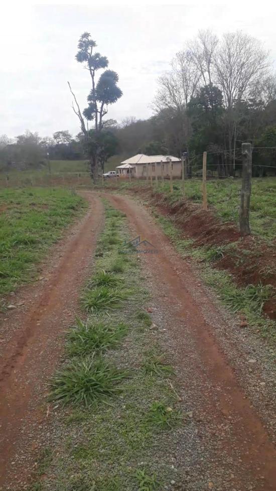 fazenda-venda-vila-costina-pains-mg-30-ha-943689
