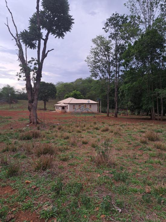 fazenda-venda-vila-costina-pains-mg-30-ha-943693